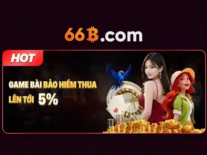 liên hệ 66b - Hành trình kết nối khách hàng và trải nghiệm vượt trội