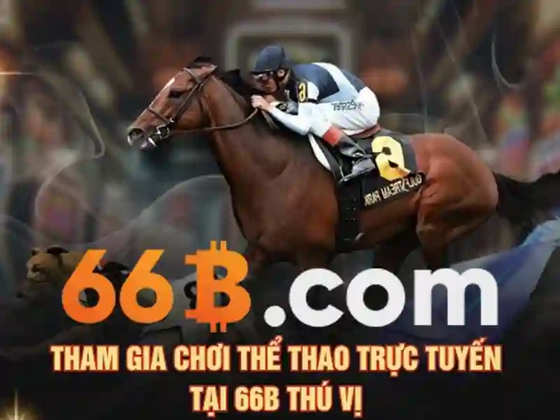 Kích thước 66b là gì?