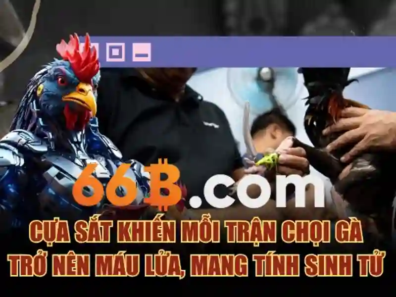 66b nguyễn chí sách phường 15 tân bình – Tổng quan chủ đề và giá trị cốt lõi