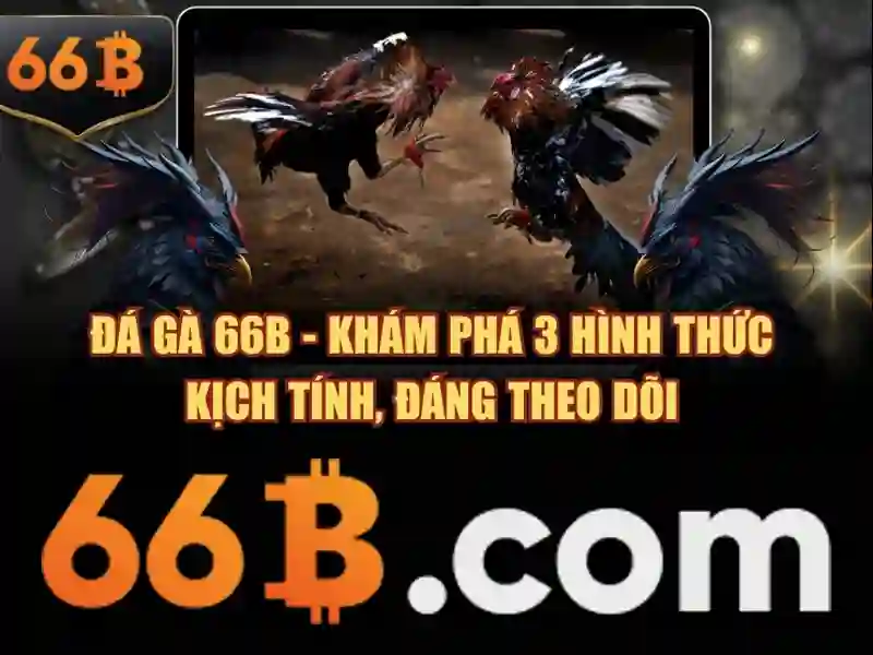 66b uy tín không – hành trình tin cậy và trải nghiệm