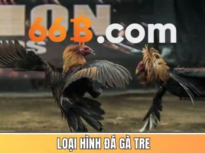 Kết luận và lời mời trải nghiệm