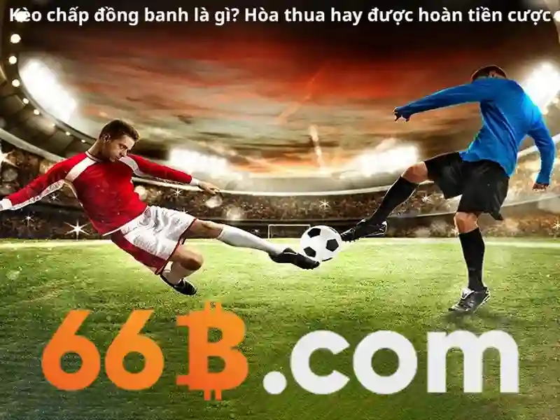 Quy trình đo để xác định 66b