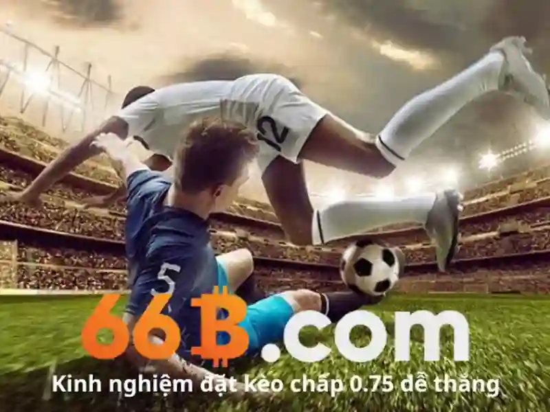 66b có hợp pháp không – Mở đầu đầy tò mò