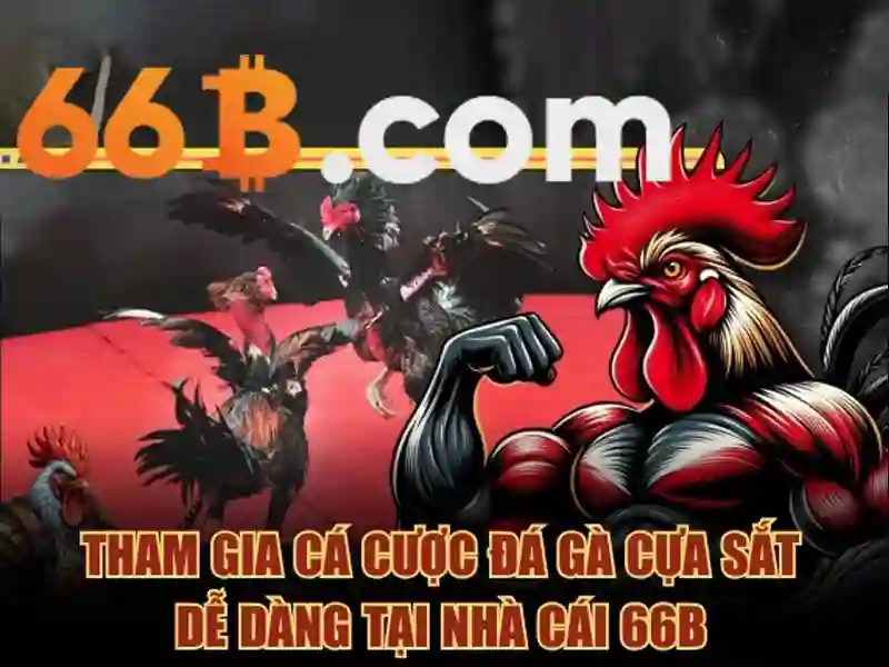 Kiến trúc và kích thước