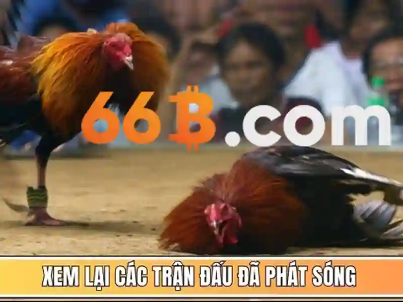 66b nguyễn sĩ sách phường 15 quận tân bình – Dẫn đầu cộng đồng sách và thông tin