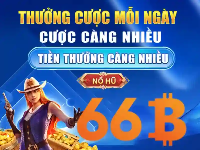 code 66b: Định hình thương hiệu và trải nghiệm