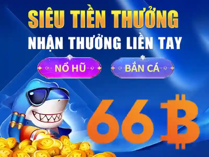 Giao dien sanh the thao 66b hien dai va chuyen nghiep